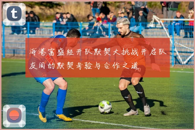 海港富盛经开队默契大挑战开启队友间的默契考验与合作之道