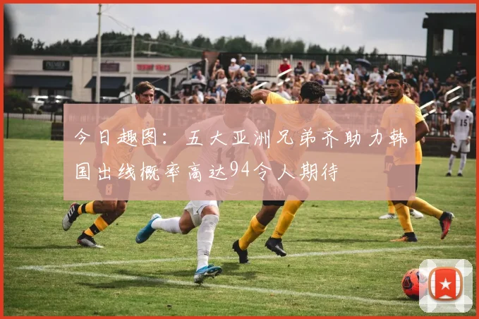 今日趣图：五大亚洲兄弟齐助力韩国出线概率高达94令人期待