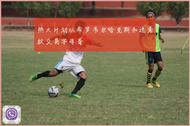 热火计划以希罗韦尔哈克斯和选秀权交易字母哥